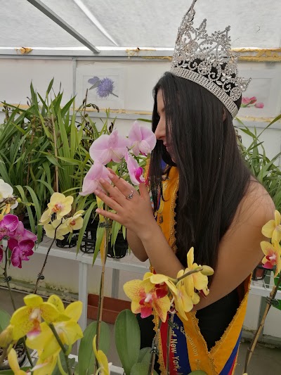 Photos of Orqu&iacute;deas Ambato