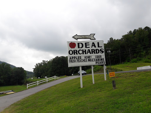 Deal Orchards, Inc - Thumbnail