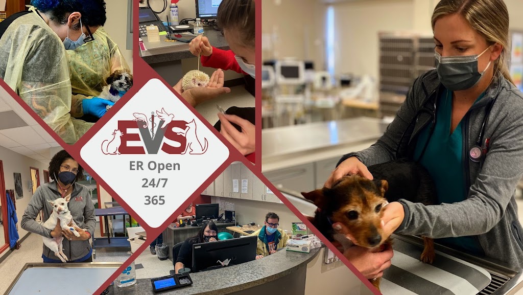 Evolution Veterinary Specialty And Emergency Hospital