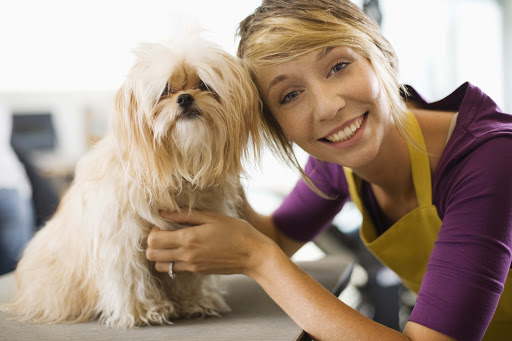 PetBizInsurance.com - Thumbnail