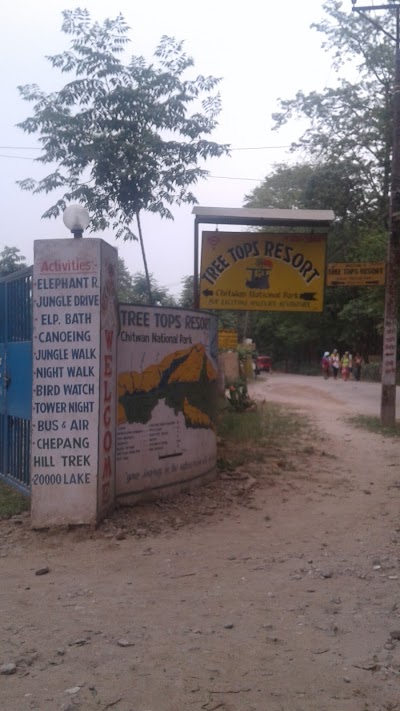 Photos of Tree tops resort