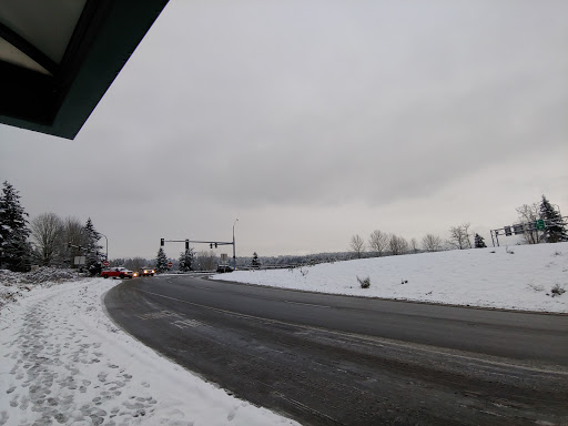 Hwy 522 & 132nd Ave NE Flyer Stop Gallery - United States
