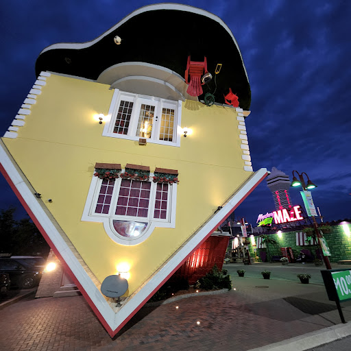 Upside Down House - Thumbnail