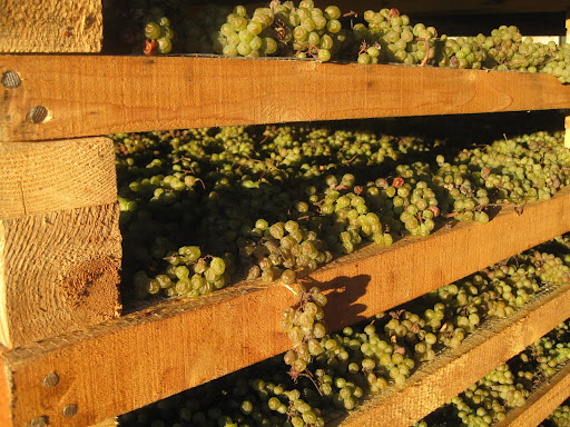 Vitivinicola Gallio Bruno - Torcolato - Thumbnail