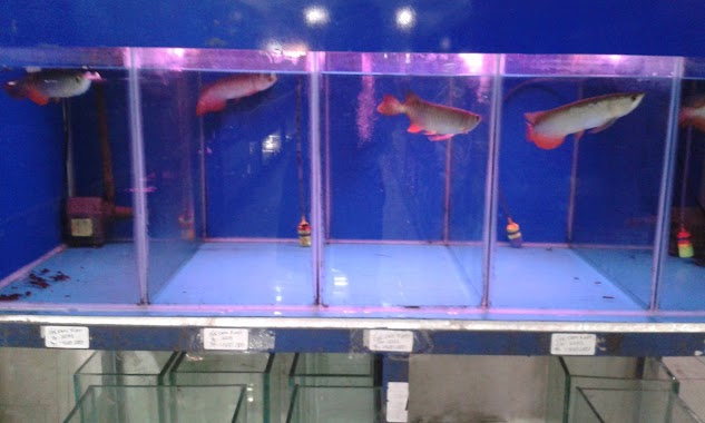 Pisces Aquarium, Author: Ramlan Ramadan