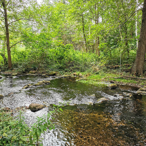 Löcknitztal Nature Reserve - Thumbnail