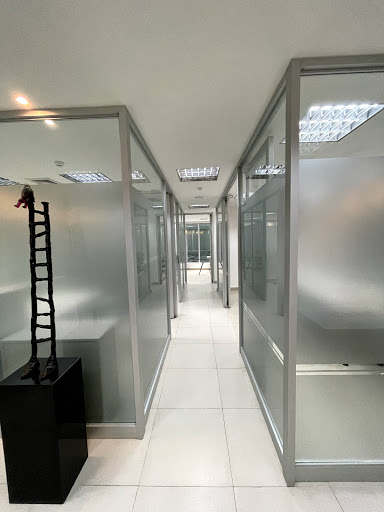 THE GLOBAL SOLUTIONS