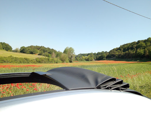 Spécialiste Citroen C3 Pluriel - Thumbnail