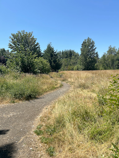 Brookside Wetland - Visual