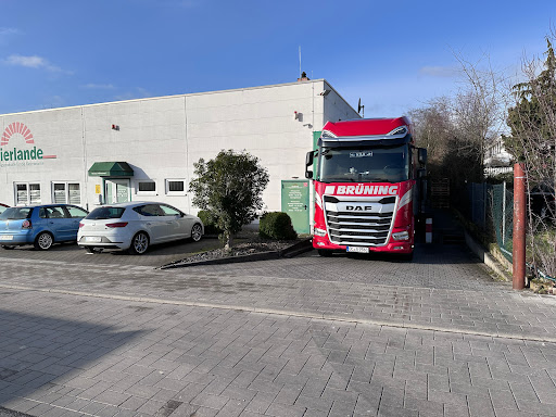 vierlande GmbH - Thumbnail