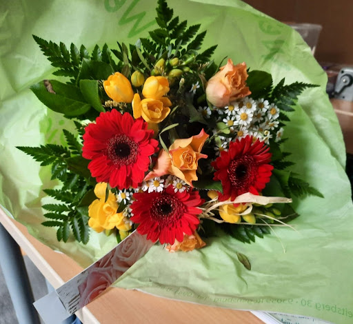 Blumen Weis - Visual