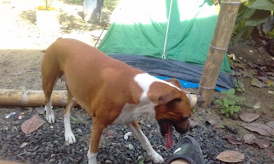 lodging