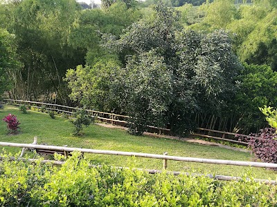 Photos of Finca El Arrullo