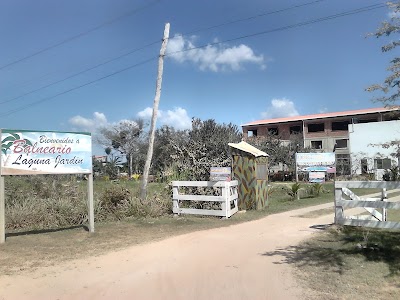 Photos of Laguna Jardin