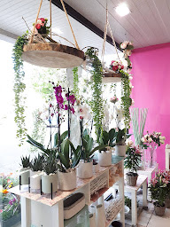 Photo n°5 de Le Jardin du Tillay à Saint-Herblain (Service de plantes d'intérieur)