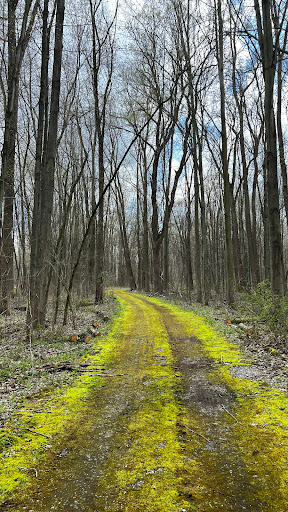 Lyon Oaks County Park