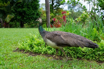 Garden of Eden Arboretum