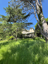 Photo n°3 de Domaine de Migoule à Brive-la-Gaillarde (Agence de location de chalets)