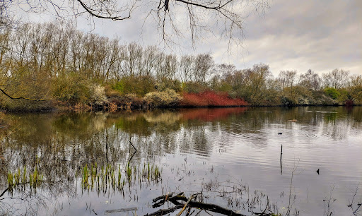 Pengy's Hide - Visual