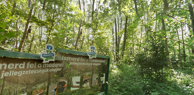 Hozzászólások és értékelések az Katonadomb park-ról