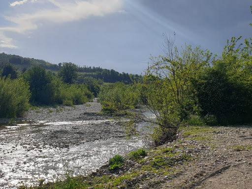 Parco E. Montale - Visual