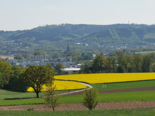 Ehrendenkmal Harderberg - Thumbnail