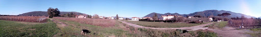 Avane - Visual