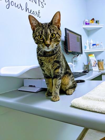 Fisherville Animal Hospital