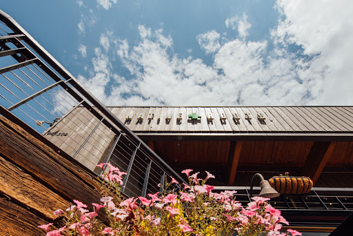 Native Roots Dispensary Aspen