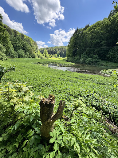 Wunderschöner Wanderweg - Visual