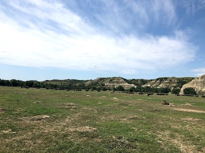 Theodore Roosevelt National Park