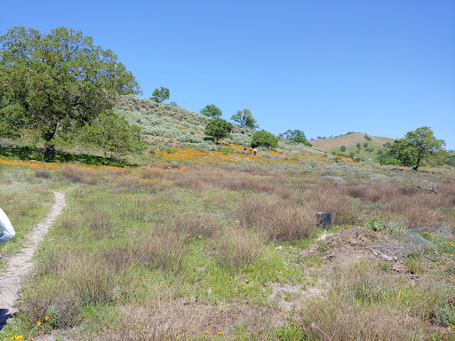 Fossil Hill Trail - Thumbnail