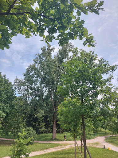 Dog Area - Pellerina - Thumbnail