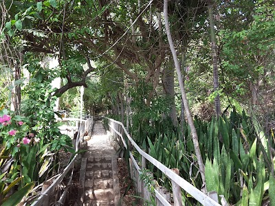 Photos of Treasure Beach Hotel
