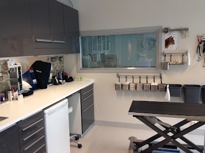 Photos of Larvik small animal clinic