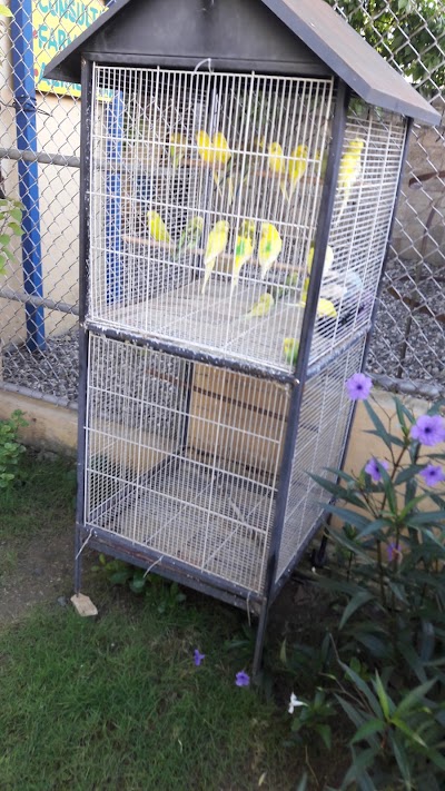 Photos of Manati Veterinaria