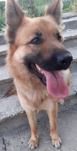 Градски парк Девня