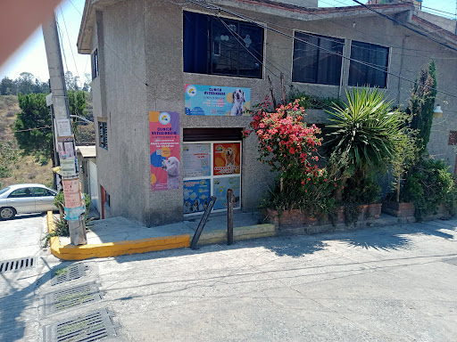 Clínica veterinaria. El perro, El gato Y Yo emergencias las 24 horas
