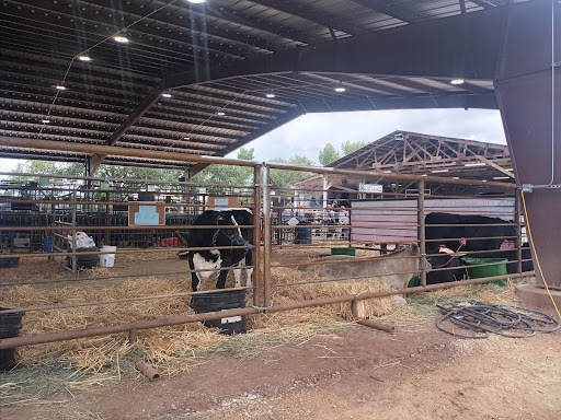 Apache County Fair - Visual