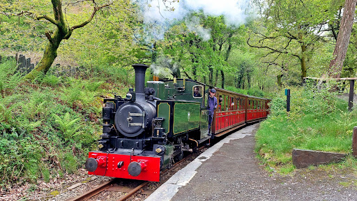 Dolgoch - Visual