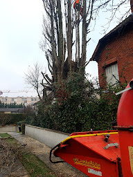 Photo n°6 de SAUSER Elagage à Esbly (Service d'élagage)