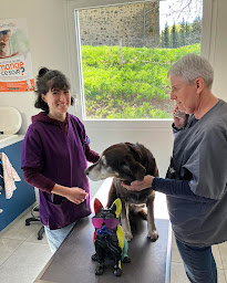 Photo n°12 de Cabinet Vétérinaire Vet’Au Sancy à Égliseneuve-d'Entraigues (Clinique vétérinaire)