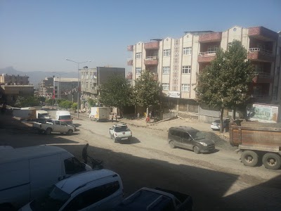 Avis Şırnak