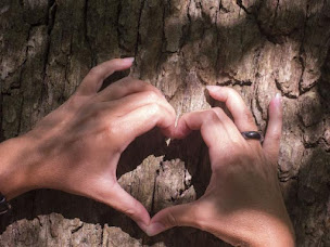 Photo n°2 de Sandra Schroeder à Guénange (Clinique de médecine alternative)