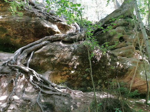 Schwarzachklamm Wanderweg Gallery - Germany