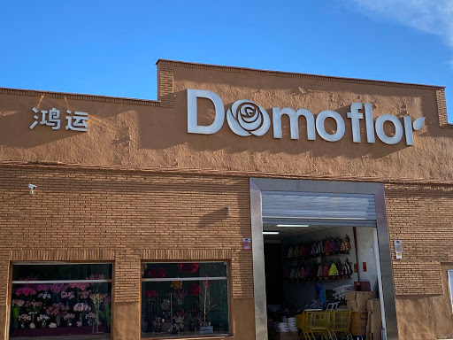 Domoflor - Visual