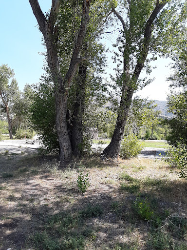 Kelly Island Campground - Thumbnail
