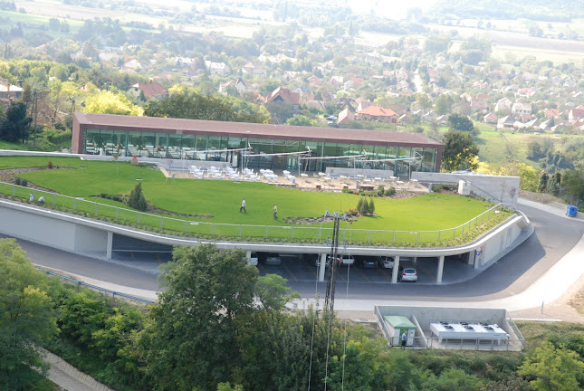 Multi-Land Kft. - teljes körű kertépítés