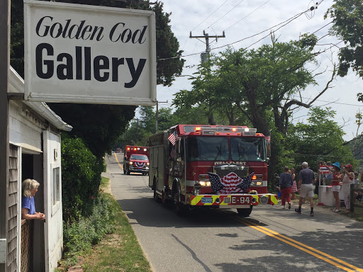 Golden Cod Gallery - Visual