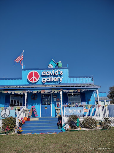 David's Gallery- Smoke Shop and Hippie Boutique